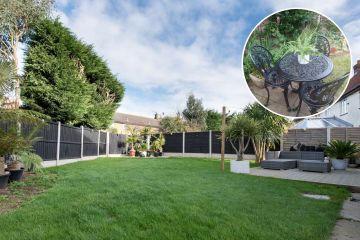 Ich habe meinen Garten mit einem Facebook-Marktplatz-Schnäppchen umgestaltet – dadurch habe ich 220 £ gespart
