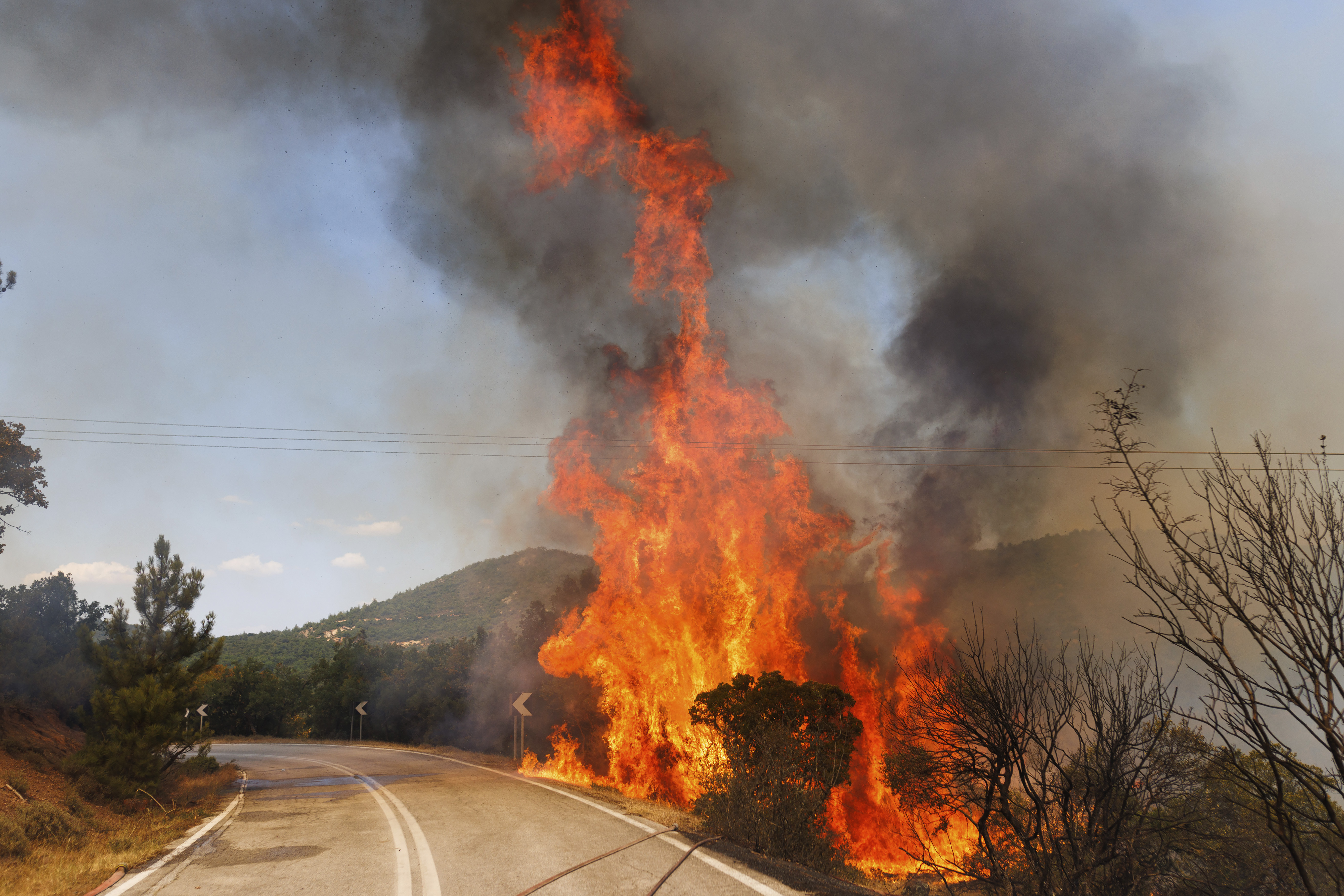 Der größte Brand ereignet sich derzeit im Nordosten des Landes in der Nähe von Alexandroupoli