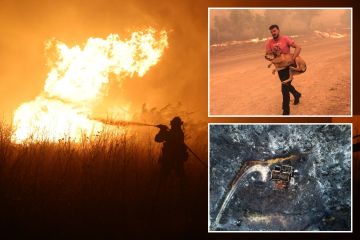 Horror, als 26 verkohlte Leichen in einem Wald nach wütenden Waldbränden in Griechenland gefunden wurden