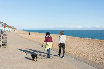 Dringende Strandwarnung in Großbritannien wegen einer wenig bekannten Gefahr, die Ihren Hund töten könnte