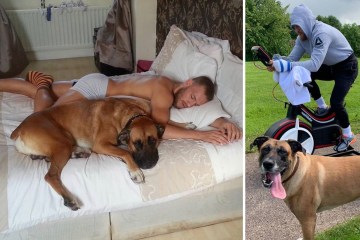 McGregor ist untröstlich nach dem Tod seines geliebten Hundes und „engsten Begleiters“ Hugo