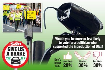 In der Umfrage von The Sun wurde ein enormer öffentlicher Widerstand gegen die ULEZ-Vorwürfe deutlich