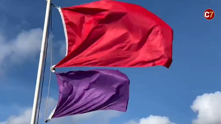 Die violette Flagge weist auf das Vorhandensein gefährlicher Meereslebewesen hin