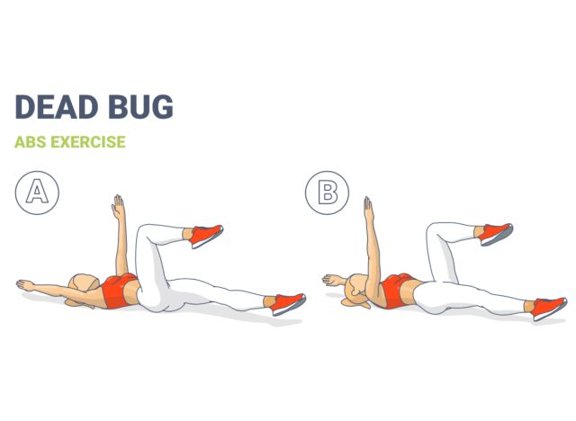 Illustration einer Übung mit toten Käfern
