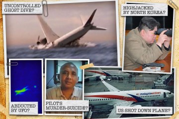 Fünf wilde Theorien hinter dem Verschwinden von MH370 – von der Entführung bis zu UFOs
