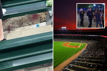 Drei Frauen erschossen bei einem MLB-Spiel vor dem Vanilla Ice-Konzert