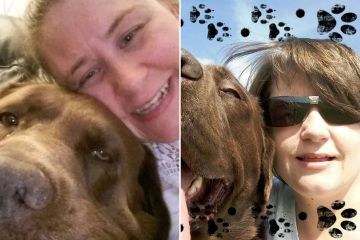 Frau, 40, stirbt, nachdem zwei Rottweiler-Hunde ihre Arme und Beine verletzt haben