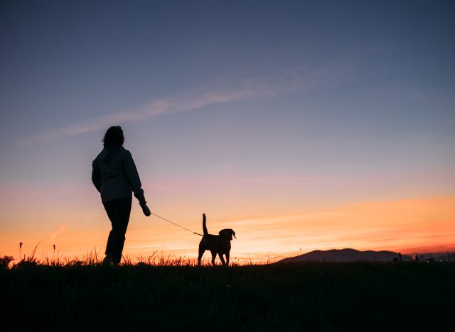 Person auf einem Sonnenuntergangsspaziergang mit ihrem Hund