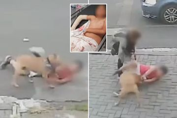 Der schockierende Moment: Ein 10-jähriger Junge wird von einem Hund misshandelt, als er draußen zu Hause Fußball spielte