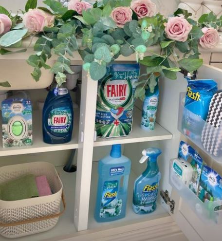 Der Reinigungsguru hat mehrere Produkte auf dem Markt