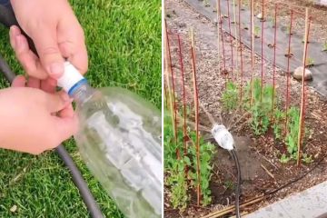 Mama teilt einen genialen Trick, um einen DIY-Wassersprinkler für 2 £ zu bauen
