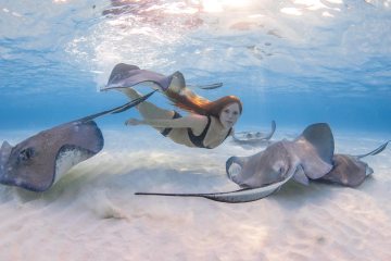 Bilder zeigen Model beim Schwimmen mit 40-Pfund-Stachelrochen in „Stingray City“ vor den Cayman-Inseln