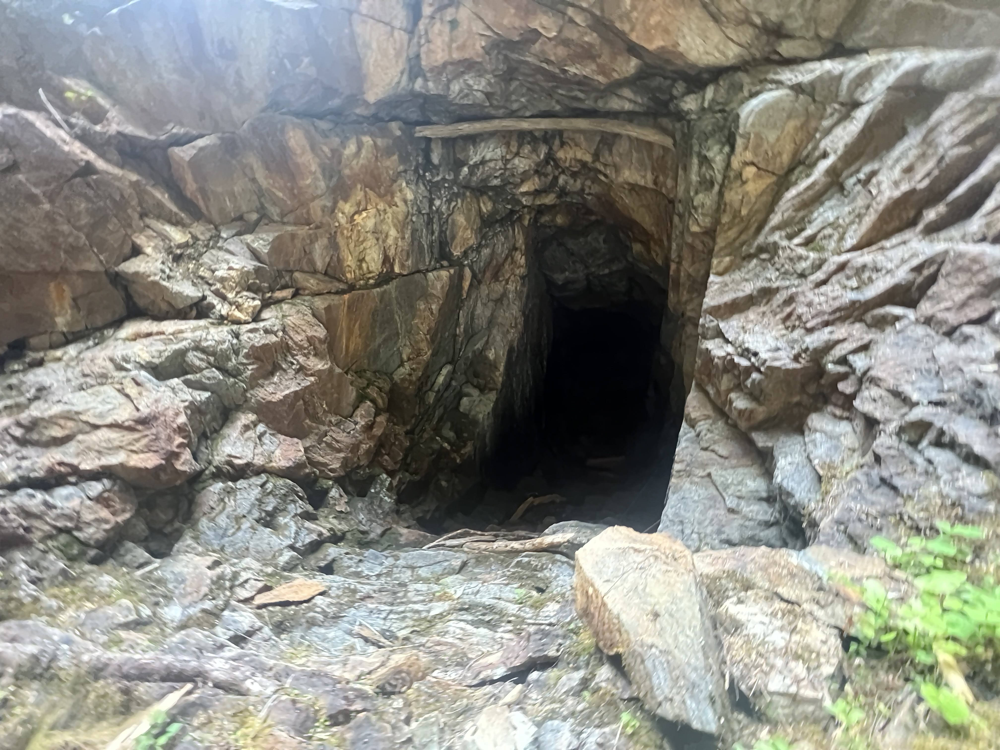 Adam Palmer hat den Eingang zu einer verlorenen Mine entdeckt, in der eine riesige Menge Goldnuggets gelagert sein könnte