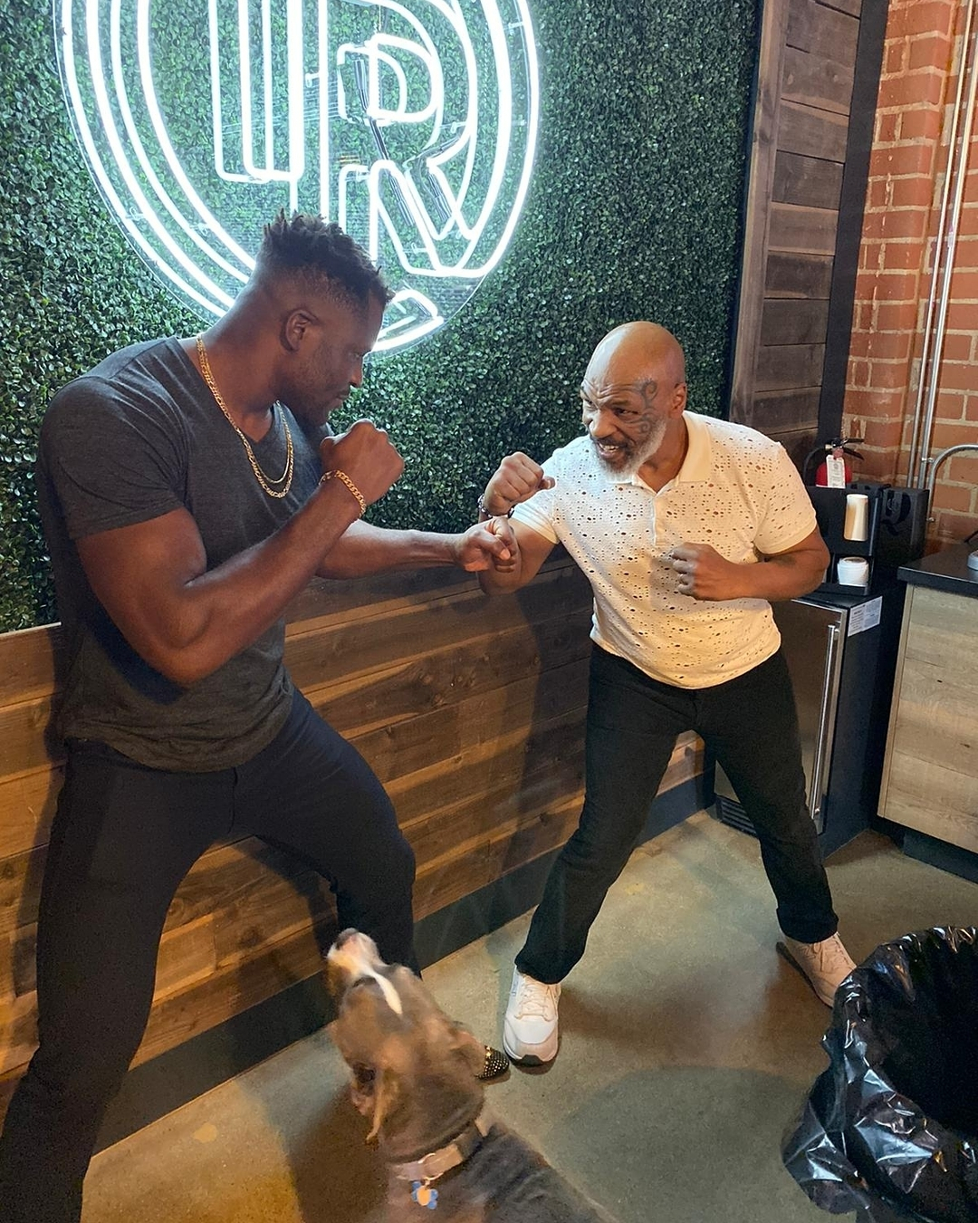 Fury war traurig, als er erfuhr, dass Boxlegende Mike Tyson Ngannou für den Kampf trainieren wird
