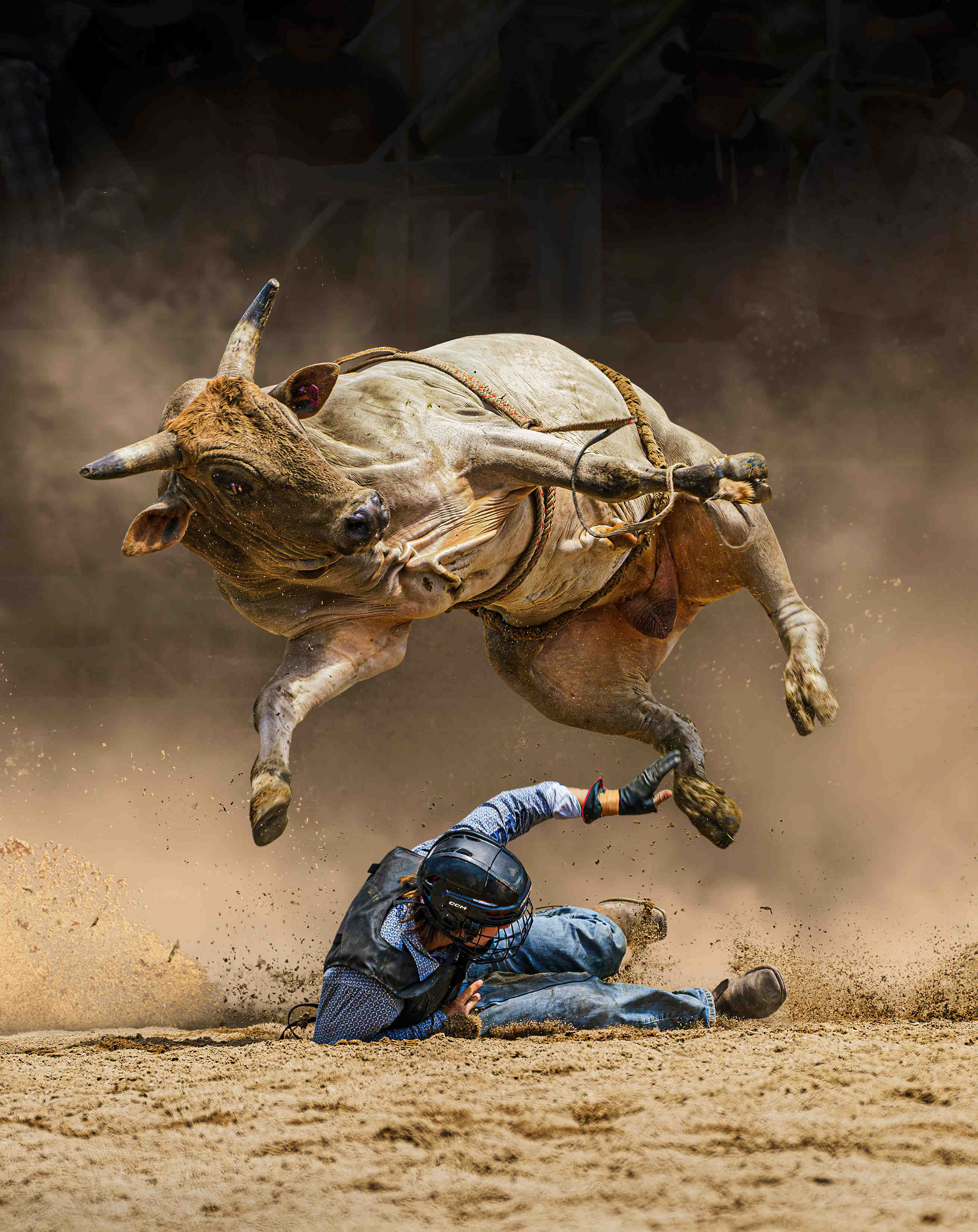 Eine unglaubliche Aufnahme eines Cowboys, der sich duckt, um einem Stier auszuweichen