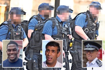 SAS tritt zurück, als bewaffnete Polizisten nach Protesten in London ihren Dienst wieder aufnehmen
