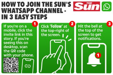 So treten Sie in drei einfachen Schritten dem brillanten neuen WhatsApp-Kanal von The Sun bei