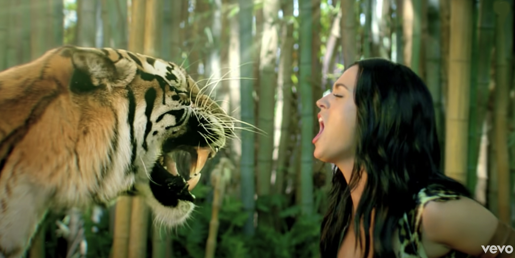 Katy hat einen Hit namens „Roar“, weshalb ihr Charaktername „Ms Leopard“ sehr passend ist