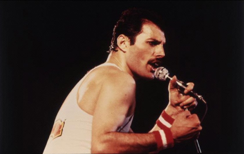 Der Star ist Freddie Mercury, der an einer Bronchialpneumonie infolge von AIDS gestorben ist