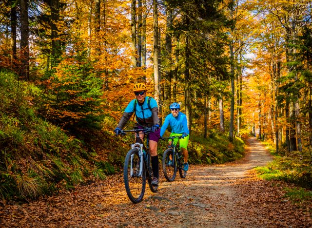 Herbst-Mountainbiken, lustige Herbstaktivitäten, die Kalorien verbrennen