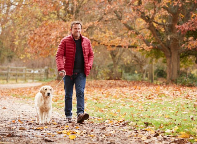 Reifer Mann geht im Herbst mit seinem Hund spazieren