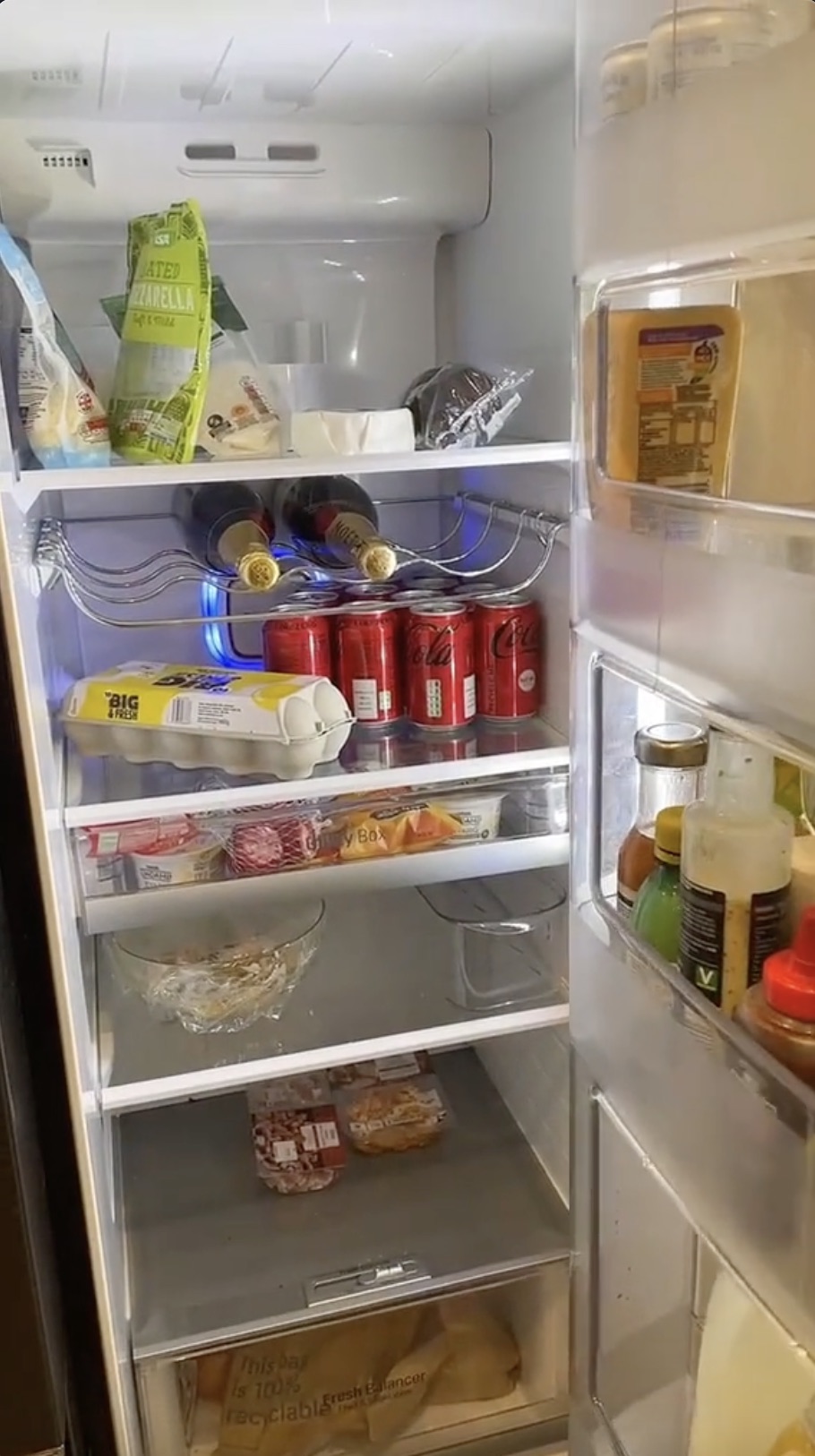 Die Tür lässt sich vollständig öffnen, sodass der Besitzer auch Zugriff auf den gesamten Kühlschrank hat
