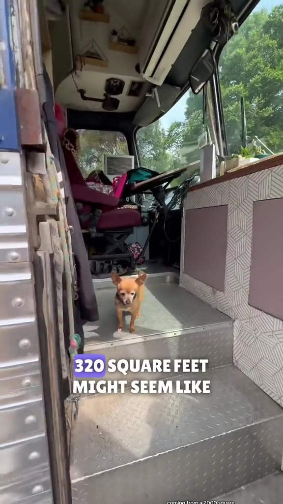 Das Paar lebt mit seinen drei Kindern und vier Hunden in seinem Bus