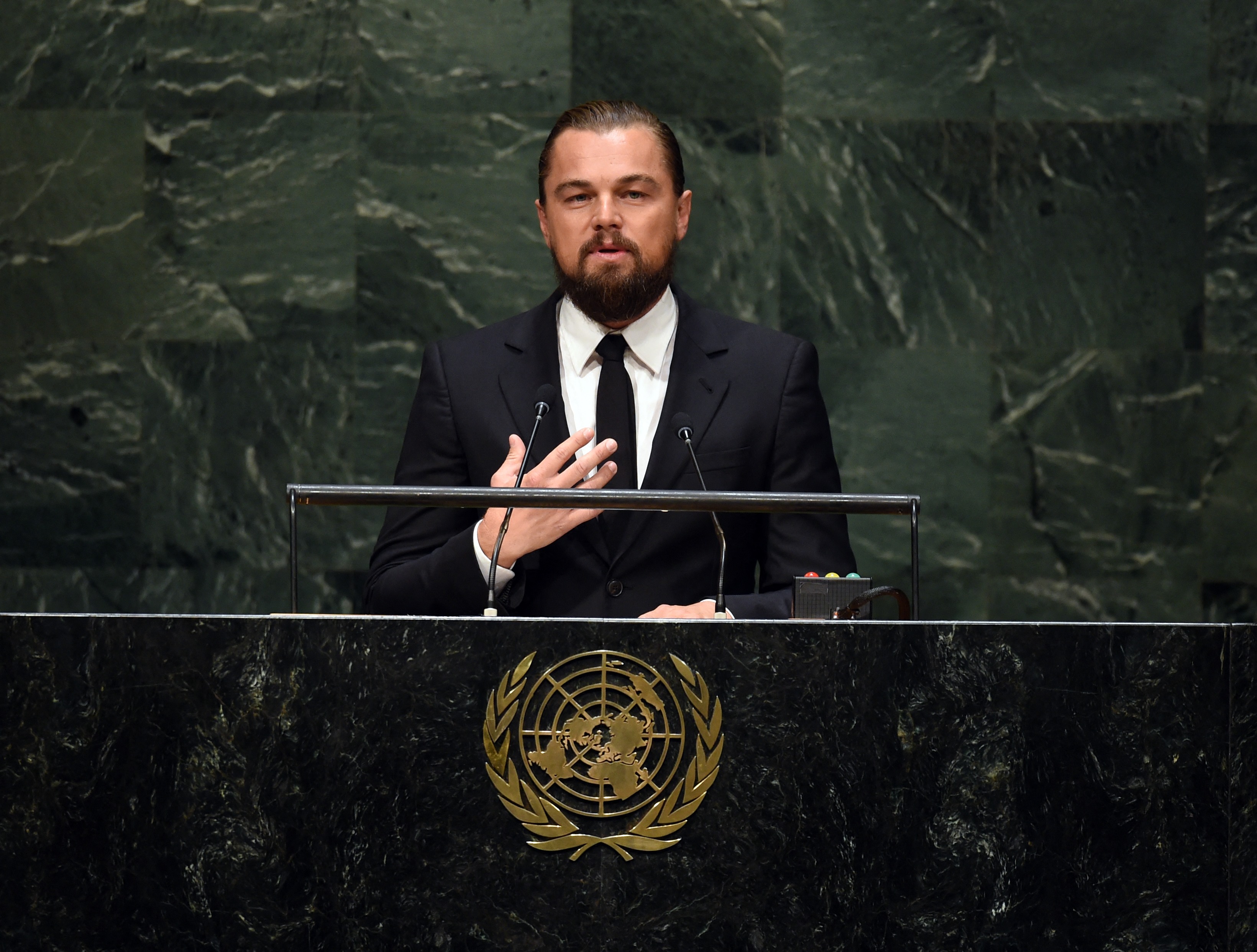 Leo gründete 1998 die Leonardo DiCaprio Foundation, um zum Schutz der letzten wilden Orte der Erde beizutragen