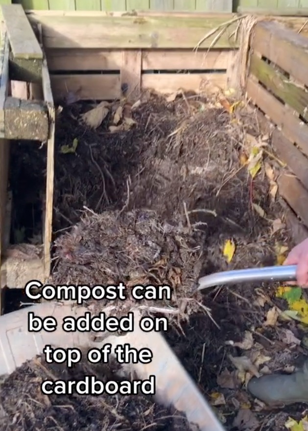 Simon zeigte, wie er Kompost oben auf die Pappe schüttete, wo die Würmer ihn über die Wintermonate bald auf den Boden bringen würden