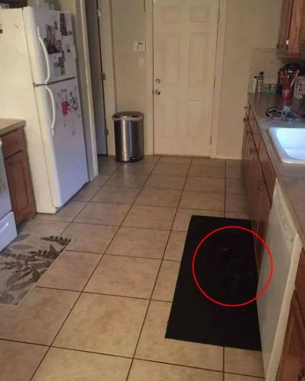 Der Hund soll mit der schwarzen Matte unter dem Waschbecken verschmolzen sein