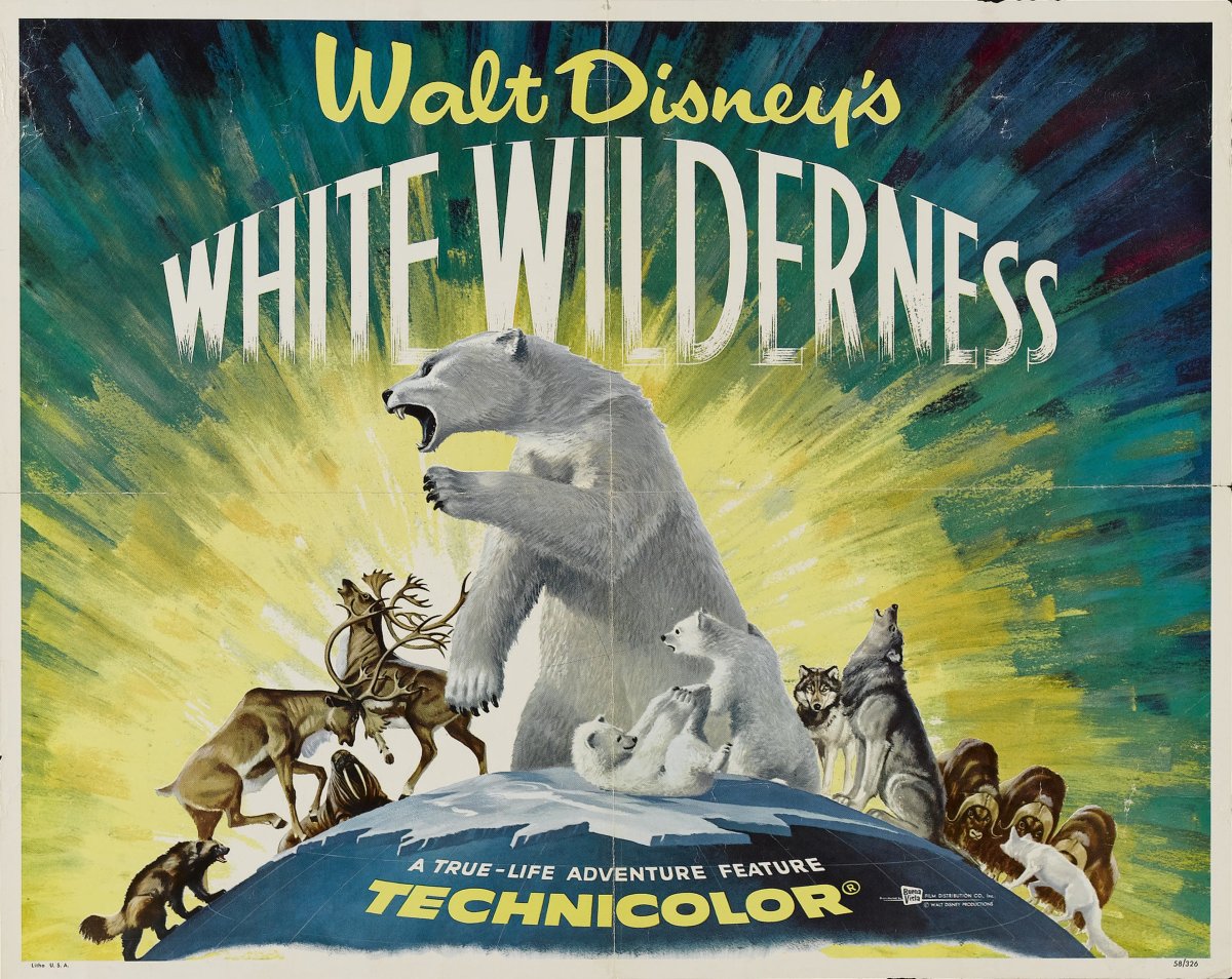 Das Plakat für Disney's "Weiße Wildnis"1958
