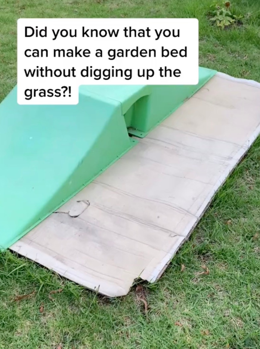 Sie zeigte, was sie verwendet hat, um das Rasenleben einfacher zu machen: ein Stück Pappe