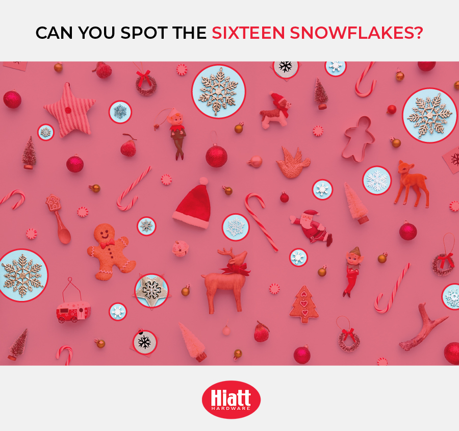 Wie viele Schneeflocken hast du gesehen?