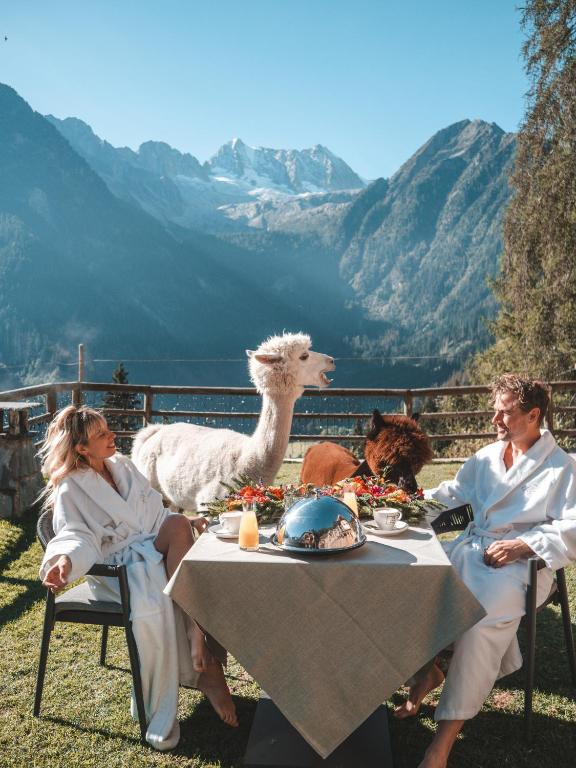 Gäste können ihr Frühstück mit den im Resort ansässigen Alpakas genießen