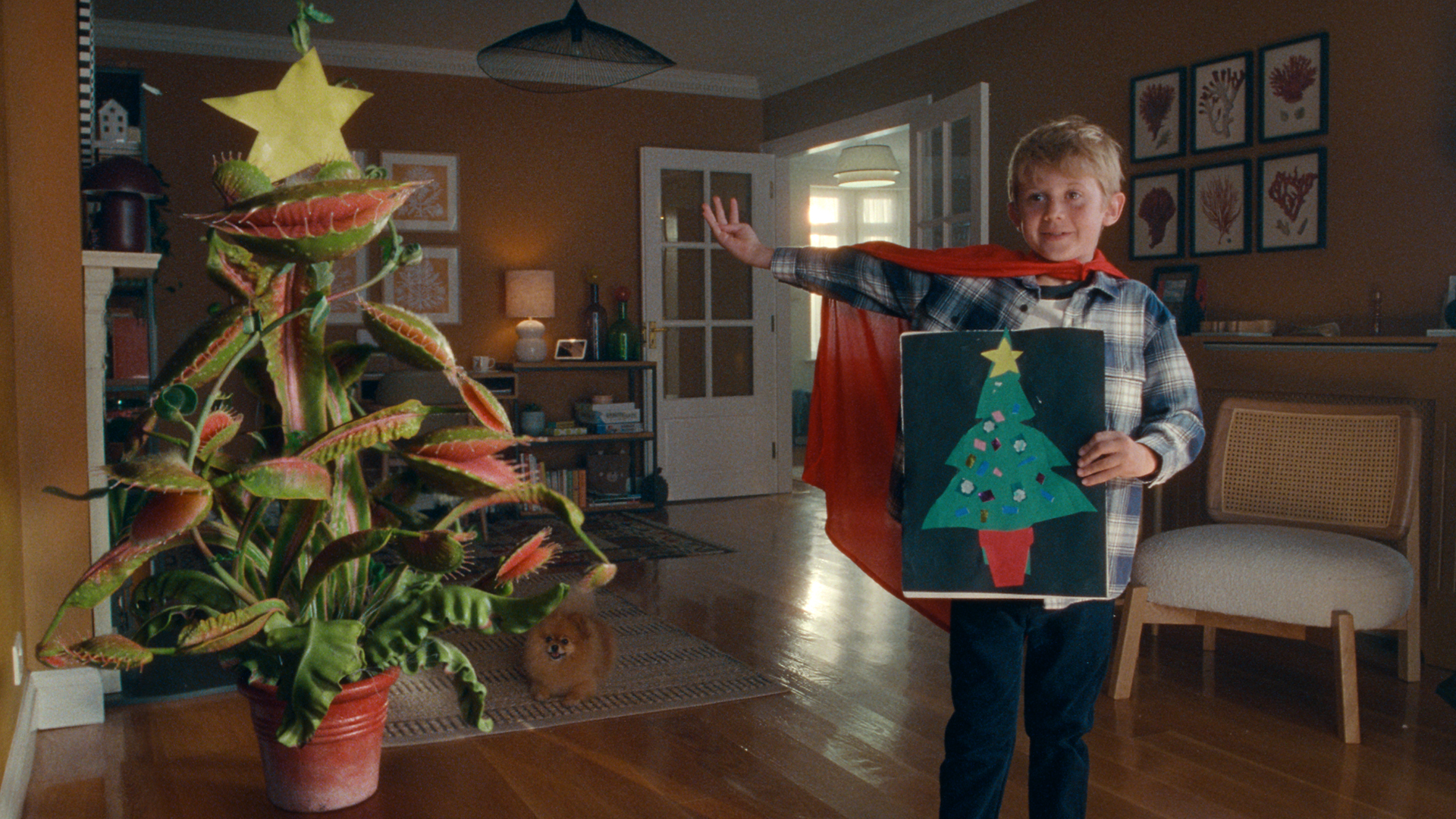 Der kleine Junge freundet sich mit dem Möchtegern-Weihnachtsbaum an, während sie sich an den Feierlichkeiten beteiligen