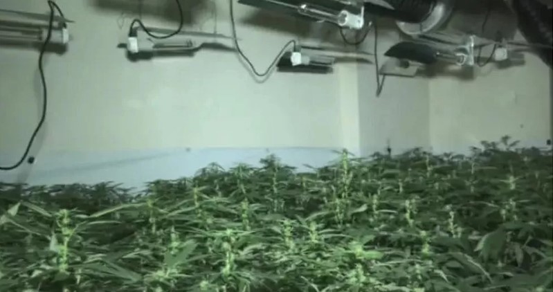 Anfang des Jahres entdeckte die Polizei in einem stillgelegten Pub eine Cannabisfarm im Wert von 1 Million Pfund