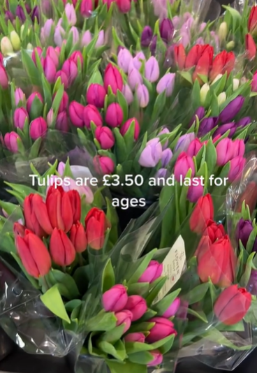 Sie lobte auch die Tulpen im Wert von 3,50 £