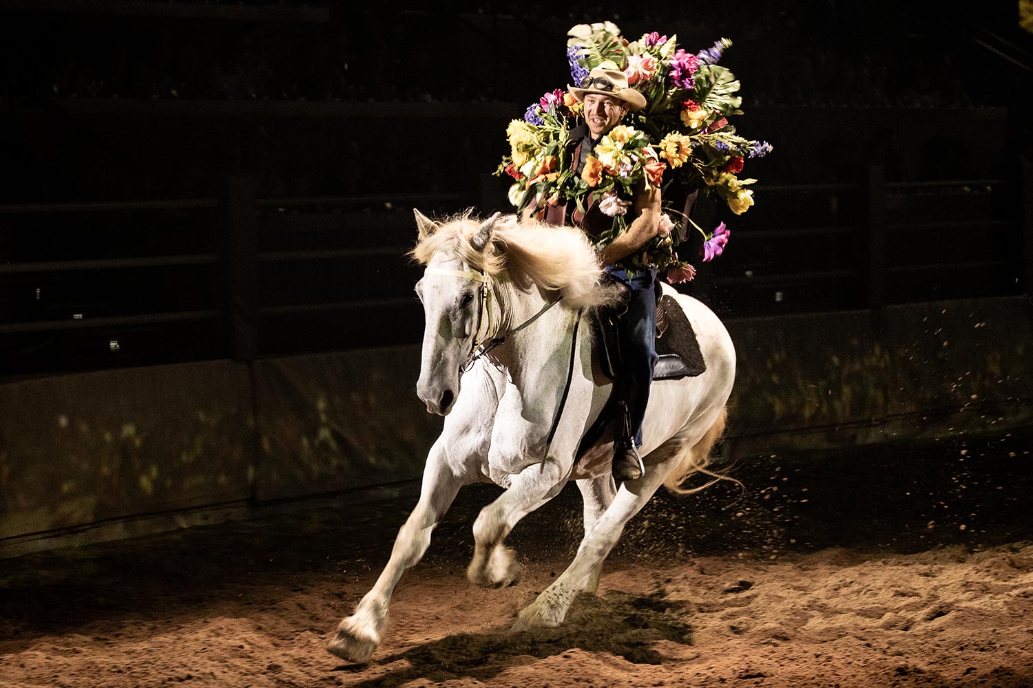 Ein Pferd galoppiert bei der Oxenford Outback Spectacular Live-Show