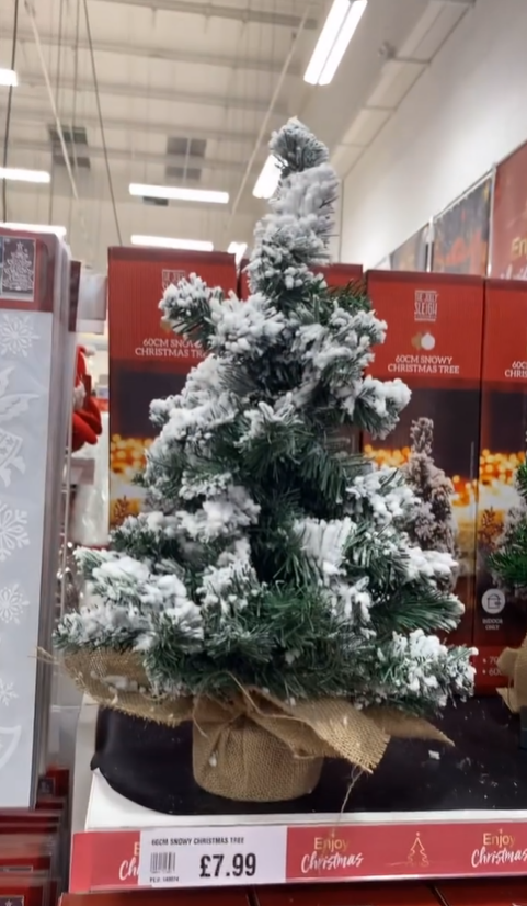 Aber ihr Favorit war der 1,5 Fuß hohe, schneebedeckte Weihnachtsbaum