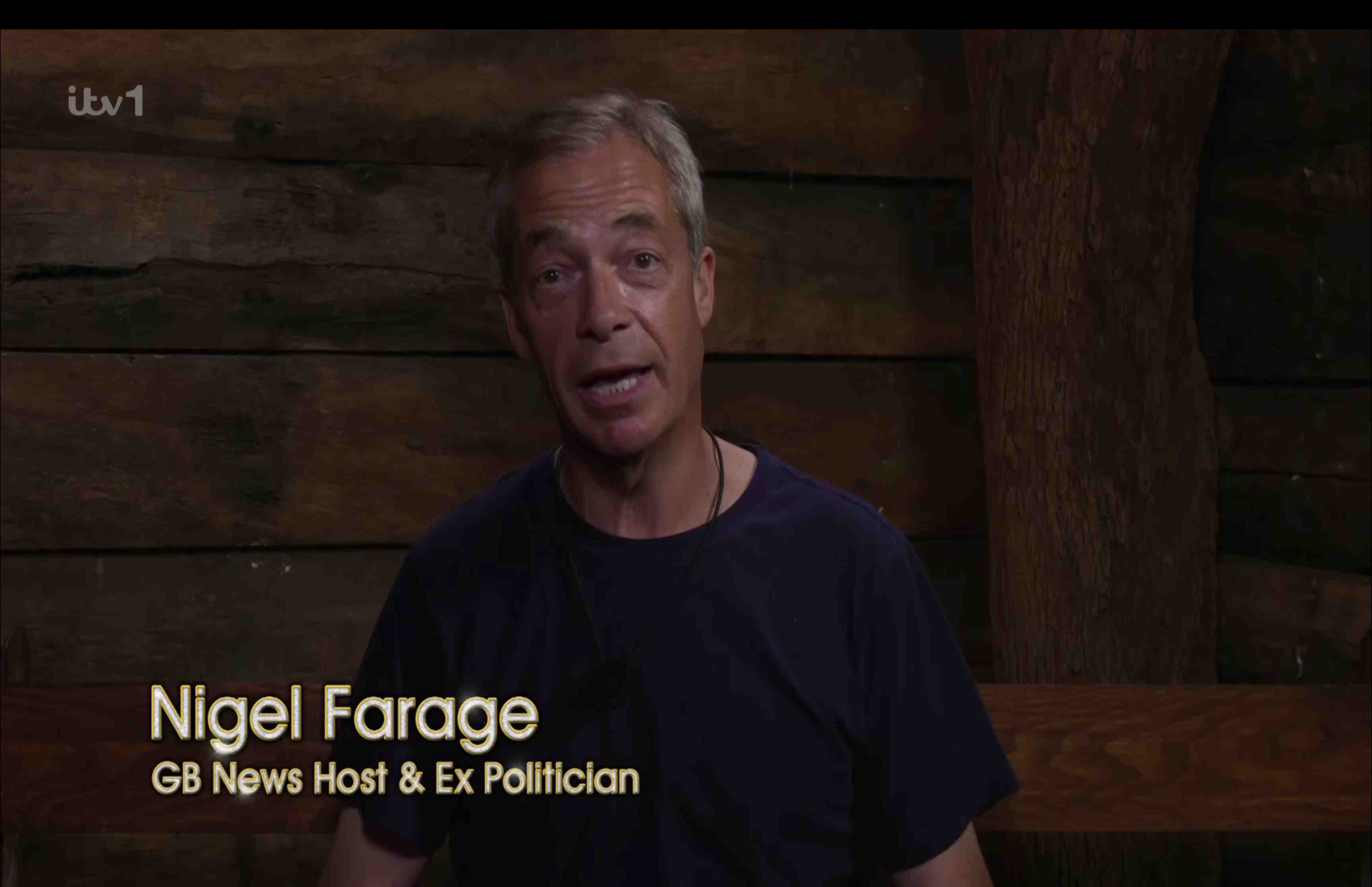Ihre Freunde bemerkten, dass etwas nicht stimmte, als sie sich nicht mit Nigel Farage beschäftigte