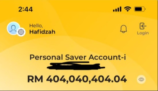 Hafidzah hat auf Linkedin einen Screenshot ihres millionenschweren Bankkontos gepostet