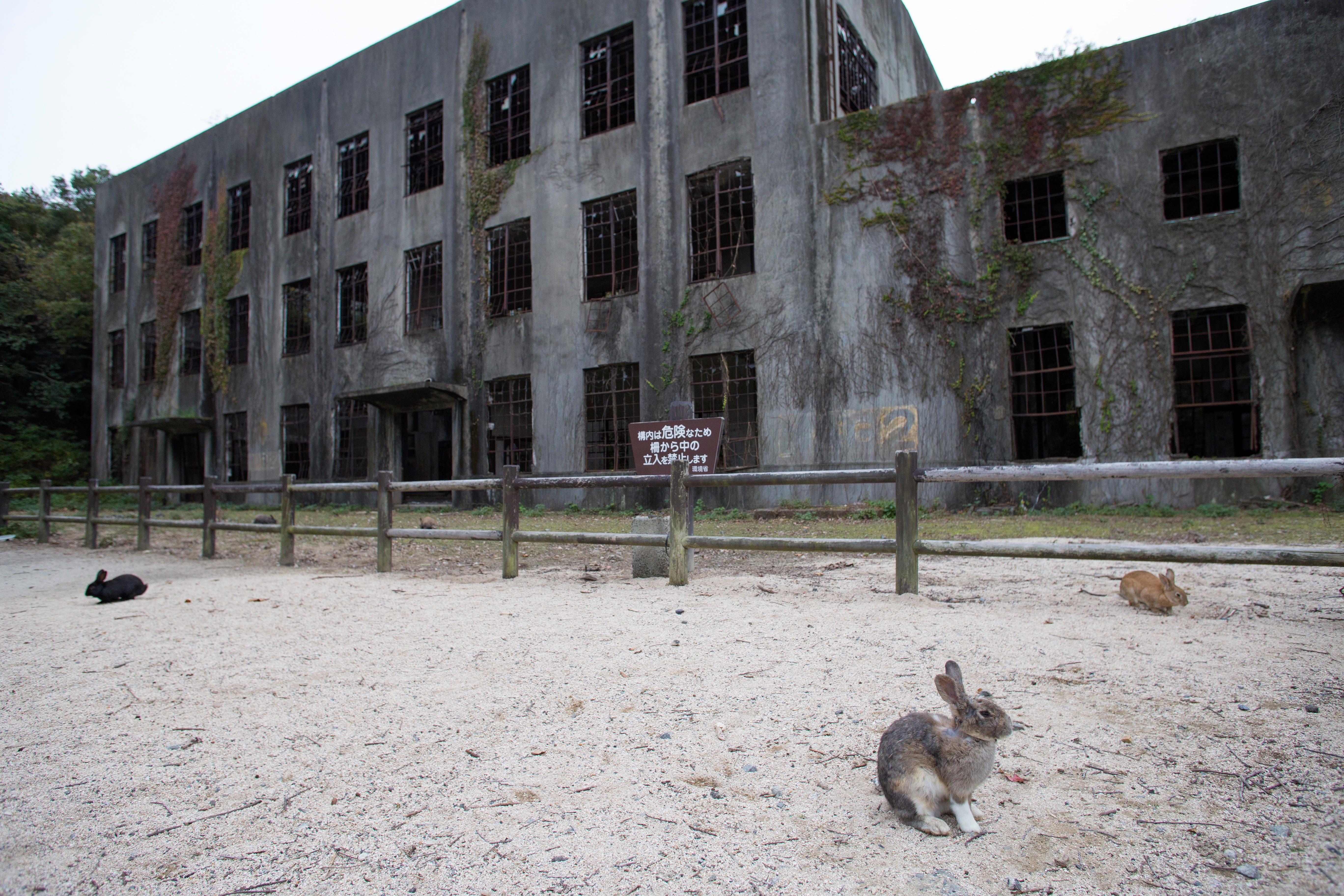 Während des Zweiten Weltkriegs spielte die Insel eine Schlüsselrolle, da dort eine Giftgasfabrik untergebracht war