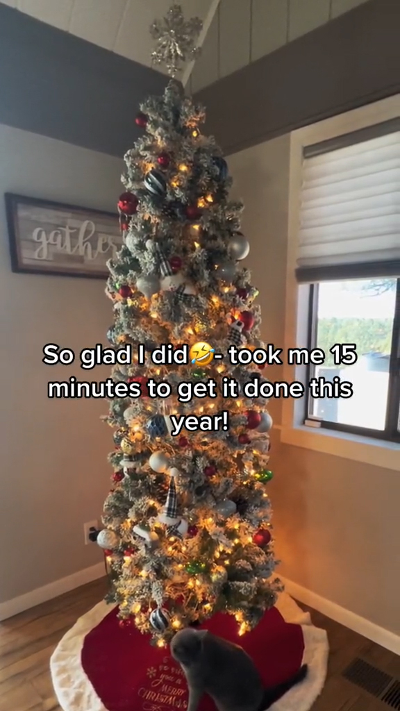 Es dauerte weniger als 20 Minuten, bis ein vollständig geschmückter und beleuchteter Baum erschien – auch wenn einige dachten, sie hätte den Spaß an den Feiertagen verloren