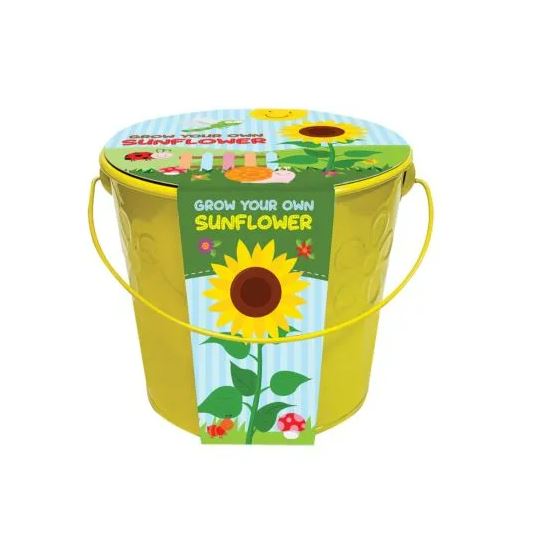 Bringen Sie Ihre Kinder mit diesem farbenfrohen Topf und den Sonnenblumenkernen zum Wachsen