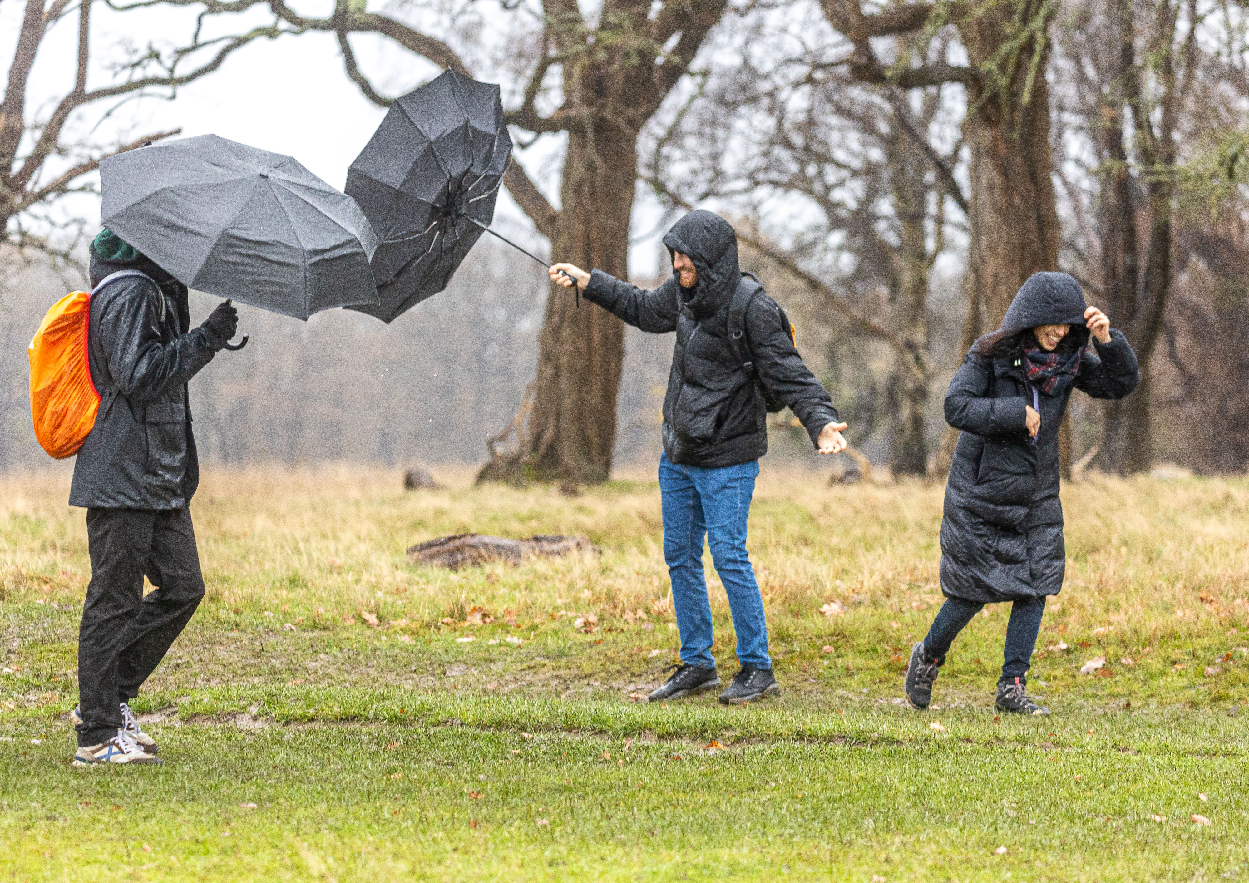 Heute trotzen Wanderer dem Wind und Regen des Sturms Elin im Richmond Park im Südwesten Londons