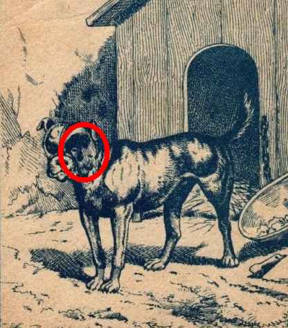 Das Herrchen des Hundes ist auf der rechten Seite seines Gesichts verborgen