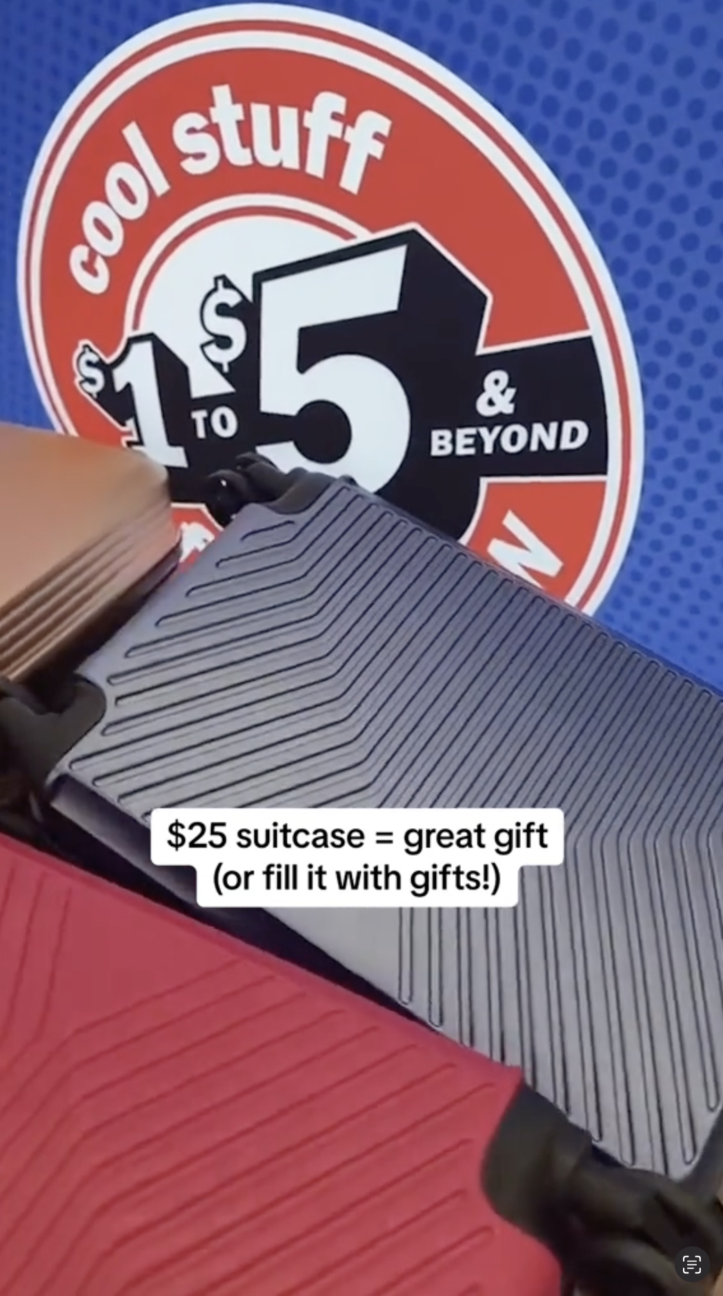 Sie war beeindruckt von diesen 25-Dollar-Koffer, die ihrer Meinung nach eine tolle Möglichkeit zum Transport von Geschenken seien