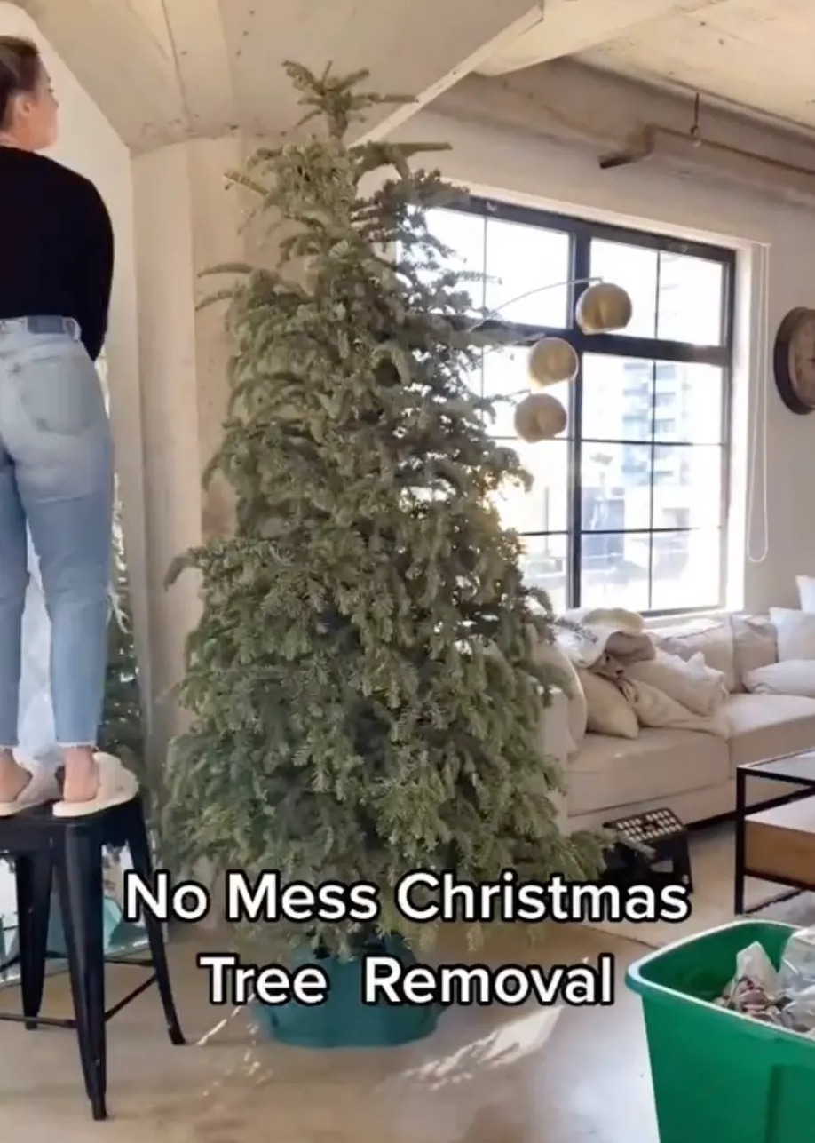 Liz empfahl ihr Geheimstück jedem, der einen echten Weihnachtsbaum hat