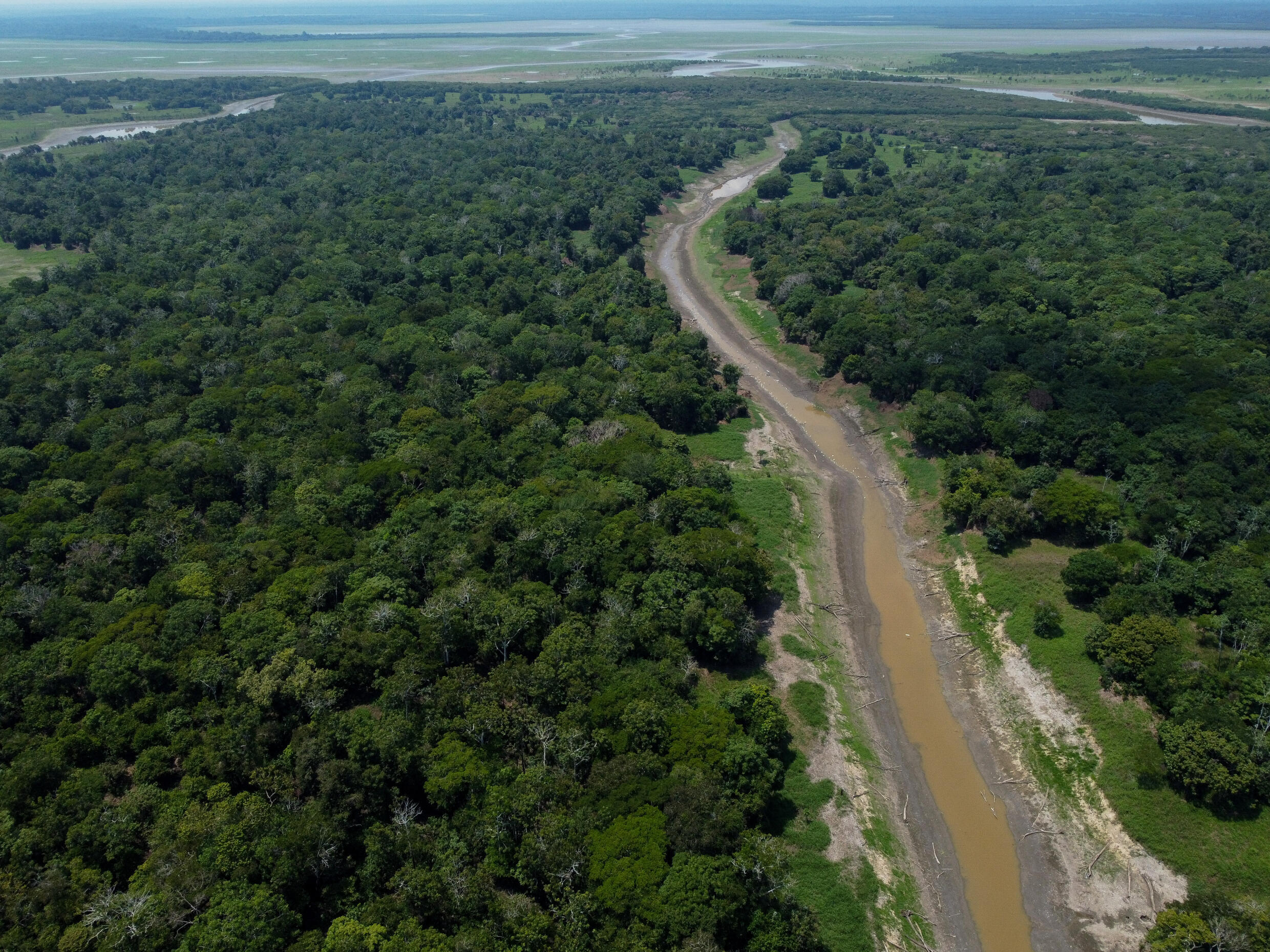 Die Abholzung im Amazonasgebiet ist im Jahr 2023 um 22,3 % zurückgegangen, um seit fünf Jahren ein höheres Niveau zu erreichen.