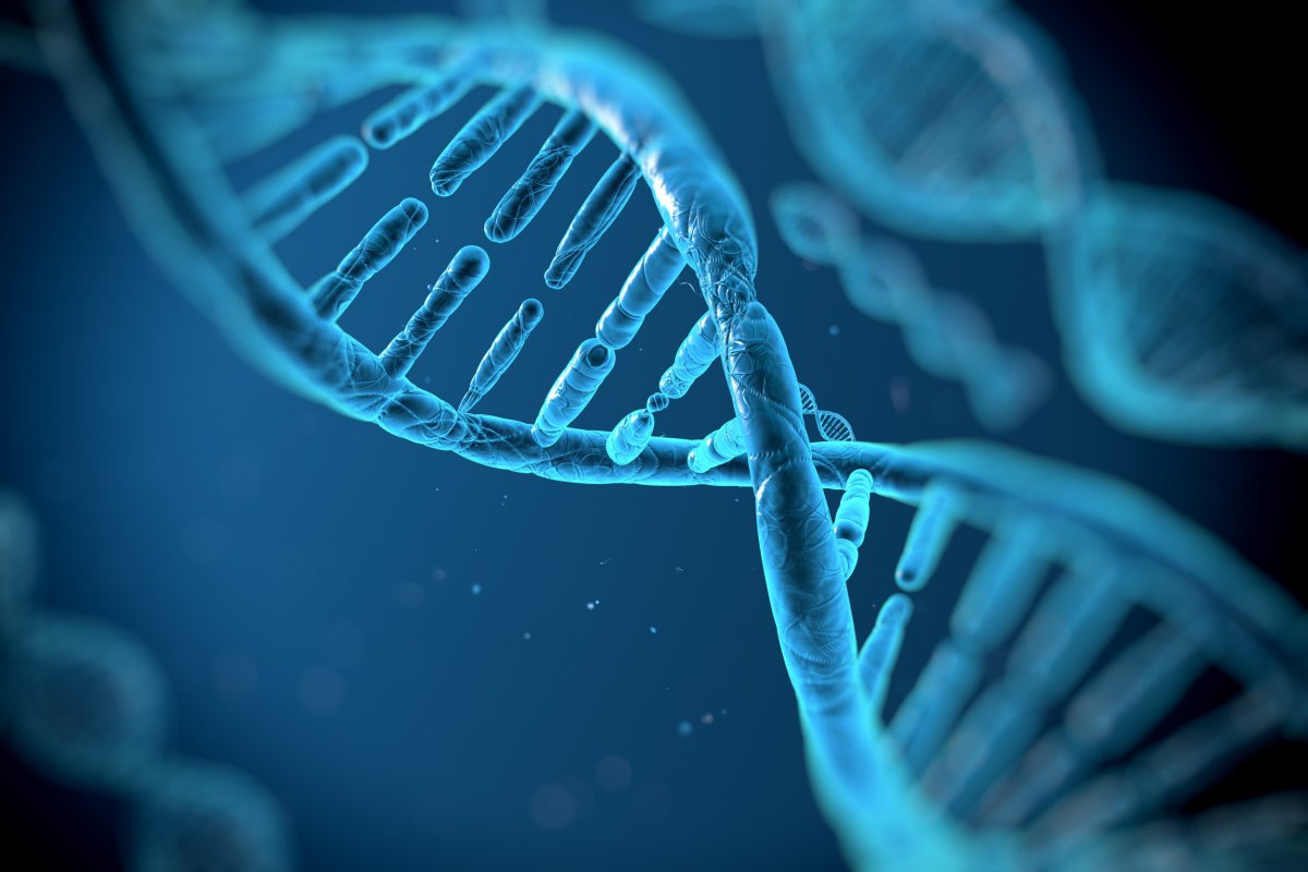 Illustration der menschlichen DNA